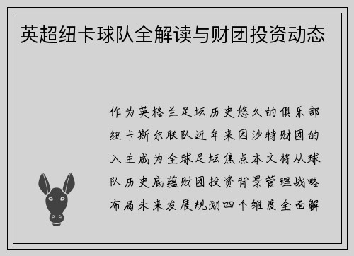英超纽卡球队全解读与财团投资动态