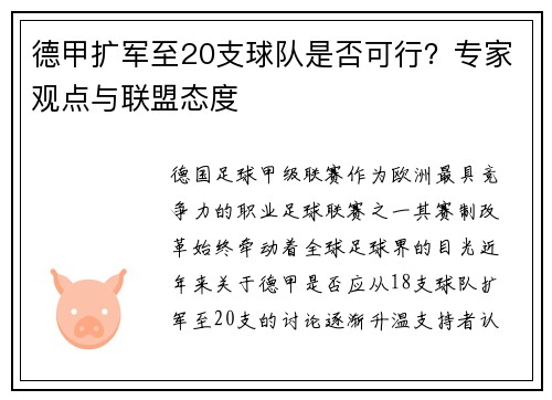德甲扩军至20支球队是否可行？专家观点与联盟态度